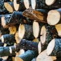 Olive Firewood
