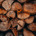 Walnut Firewood