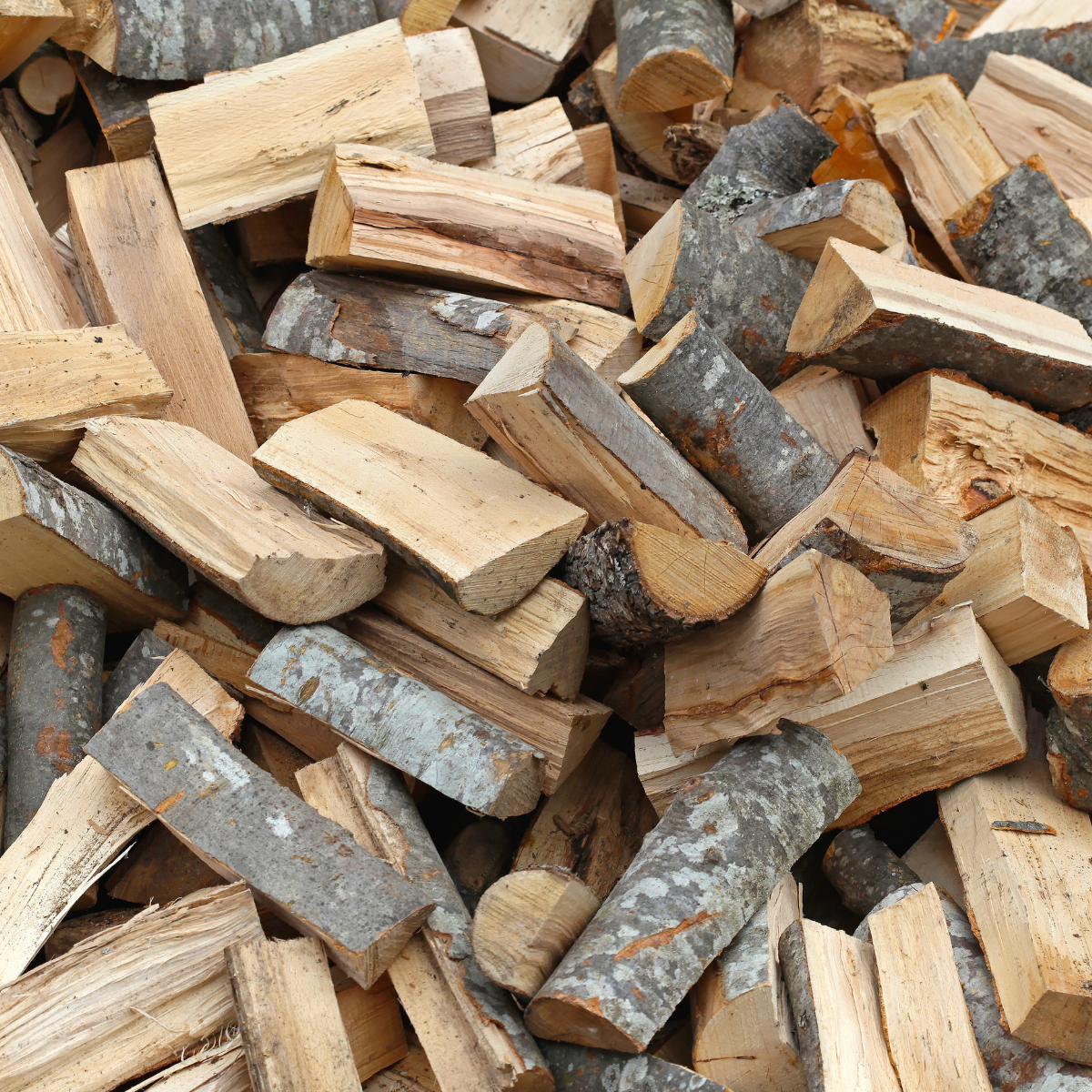 Eucalyptus Firewood