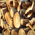 Red Oak Firewood